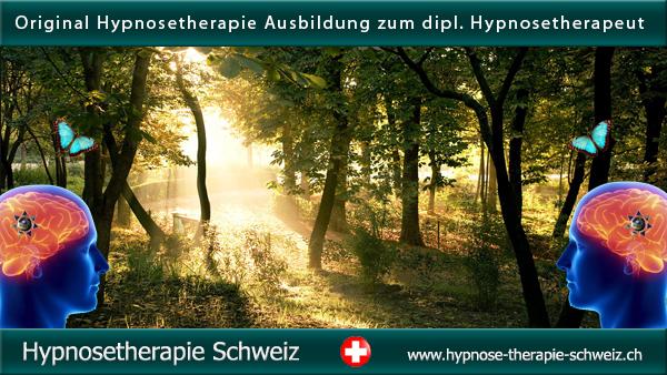image-7097620-Hypnose-Therapie-Therapeut-Coaching-Schule-Schweiz-.jpg